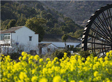 創意閱讀與寫作工作坊｜今天，我們如何面對新時代的鄉村？從與鄉村有關的人物開啟敘述，再指向具體村落，展現鄉土文化……[詳細]