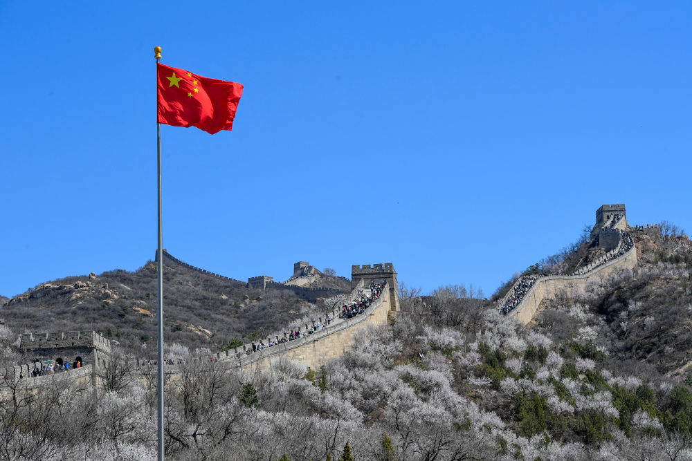 2024年4月7日，游客在山花盛開(kāi)的八達(dá)嶺長(zhǎng)城觀(guān)光游覽。新華社記者 鞠煥宗 攝