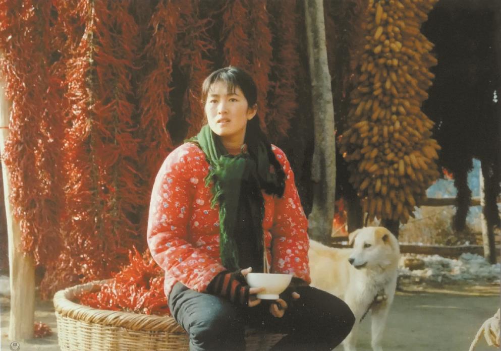 劉恒擔(dān)任編劇的電影《秋菊打官司》曾獲得第49屆威尼斯電影節(jié)金獅獎(jiǎng)、第13屆中國(guó)電影金雞獎(jiǎng)最佳故事片獎(jiǎng)等獎(jiǎng)項(xiàng)。