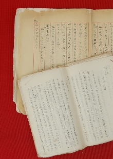 一份日記，如同顯微鏡下的“抗戰長城”　　1939年，作家戰地訪問團北上前線途中，盡管危險重重，又緊張又勞累，王禮錫仍然想盡辦法詳細記錄下訪問團的活動和他自己的生活，或許他未曾想過這些文字會穿越戰火，歷經風風雨雨八十余載，成為一把打開抗戰歷史的特殊密鑰。[詳細]